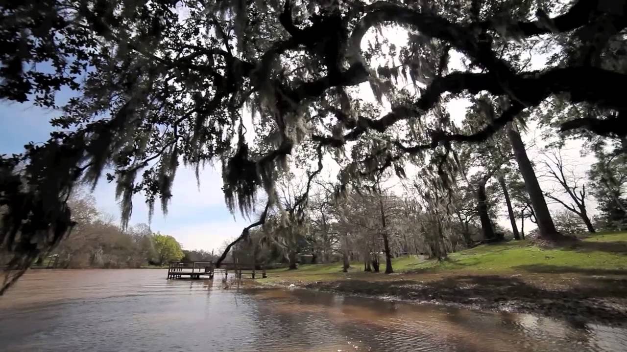 Bayou Teche Experience
