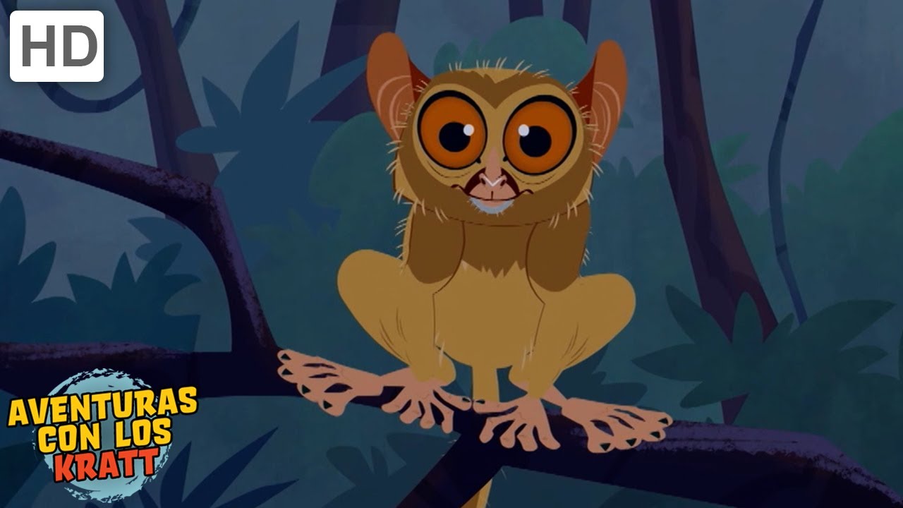 Criaturas de Asia | Orangutanes, lagartos + más! [episodios completos] Aventuras con los Kratt