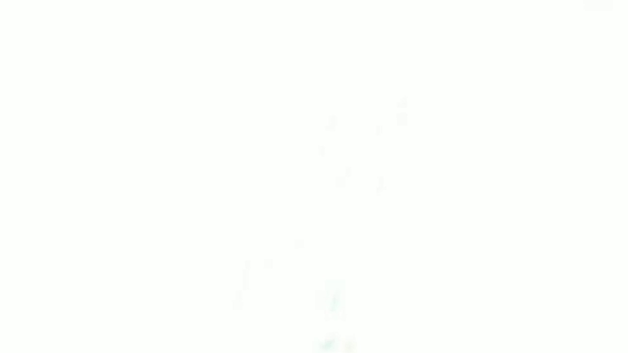 BRIGHT White screen 1 hour | pantalla blanca brillante 1 hora|  tela branca brilhante ⏲️