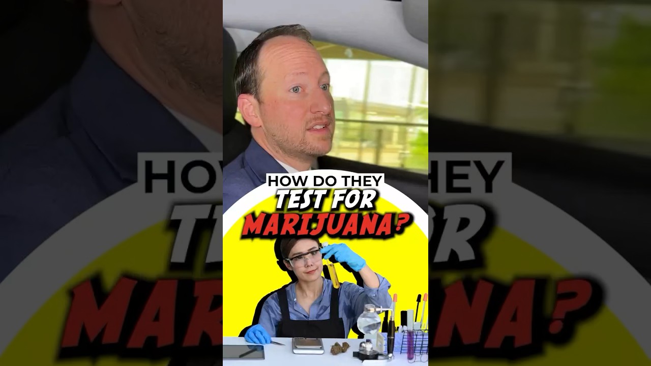 Can BLOOD 🧪 Tell You&rsquo;re High on WEED? #Law #DWI #criminaldefense