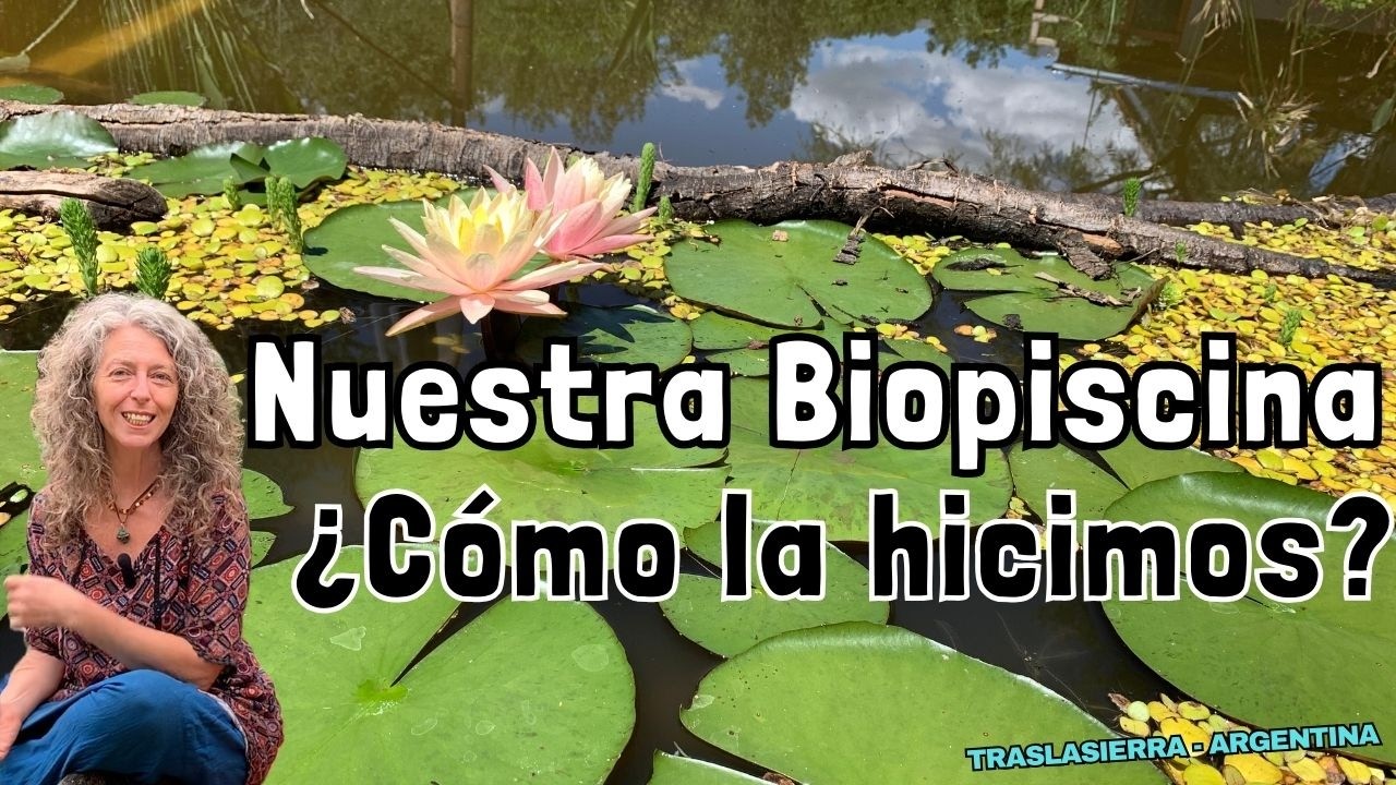 🥳FELICES😍 Transformamos la PISCINA tradicional en BIOPISCINA 💦fácil y con poco dinero #traslasierra