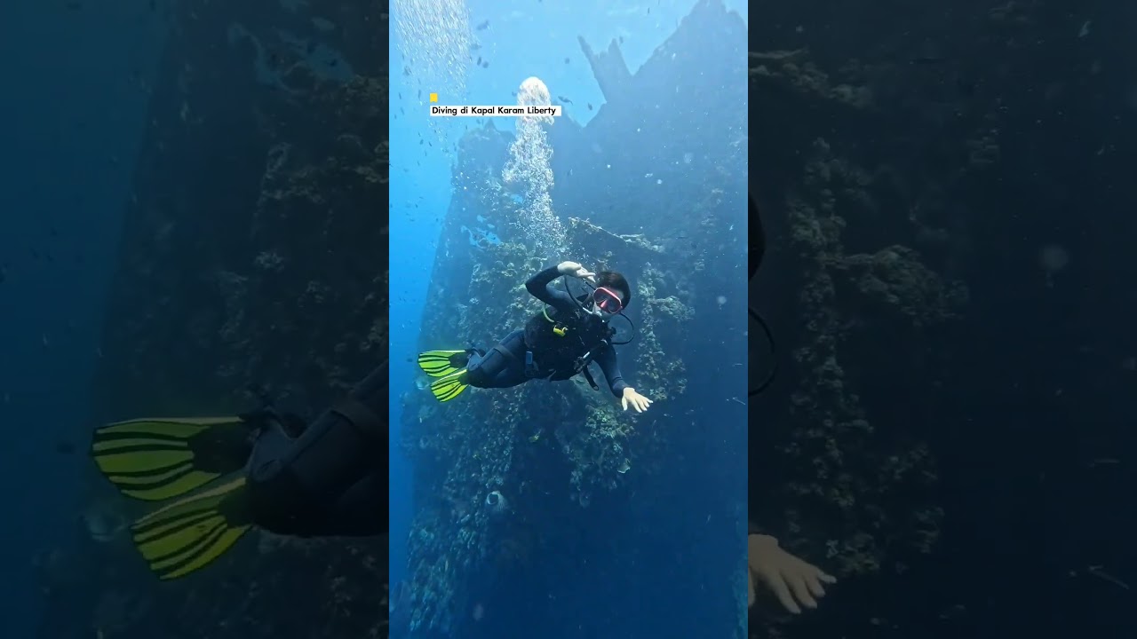 Bali Diving, Indonesia 📱: +62878-6121-5832 & IG: balielitescubatulamben 