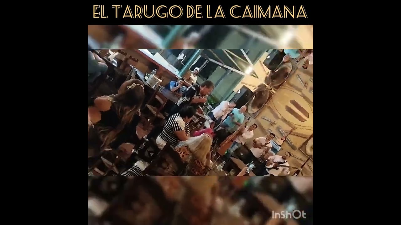 el tarugo de la caimana en vivo