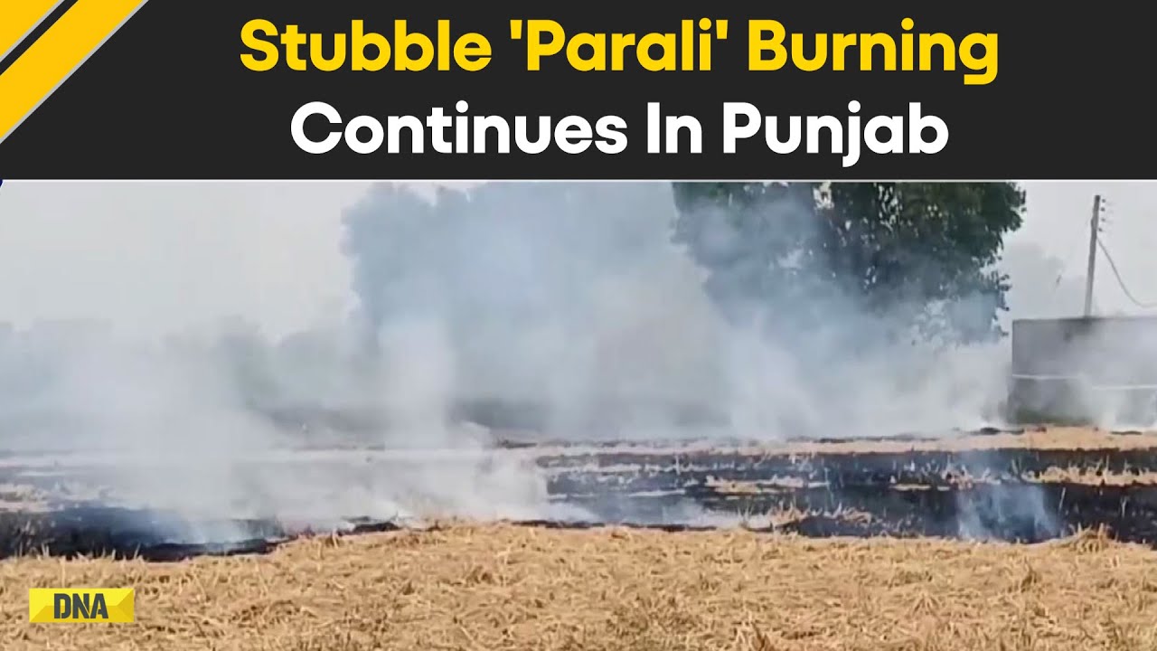 Stubble Parali Burning Continued Despite Ban By Punjab Govt. In Amritsar |Delhi NCR |Air Pollution