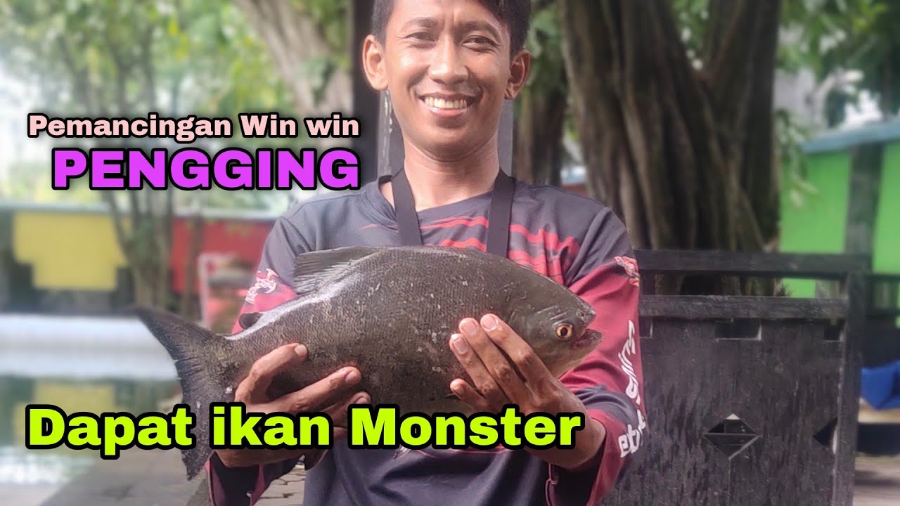 Strike Ikan Monster di Pemancingan Win - Win part 3