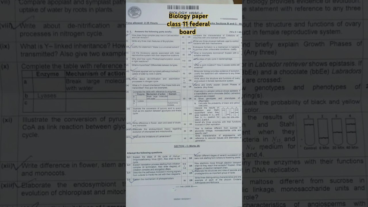 biology class 11 paper 2025 federal board hssc1 #federalboard #previoupapers #federalboardbiology