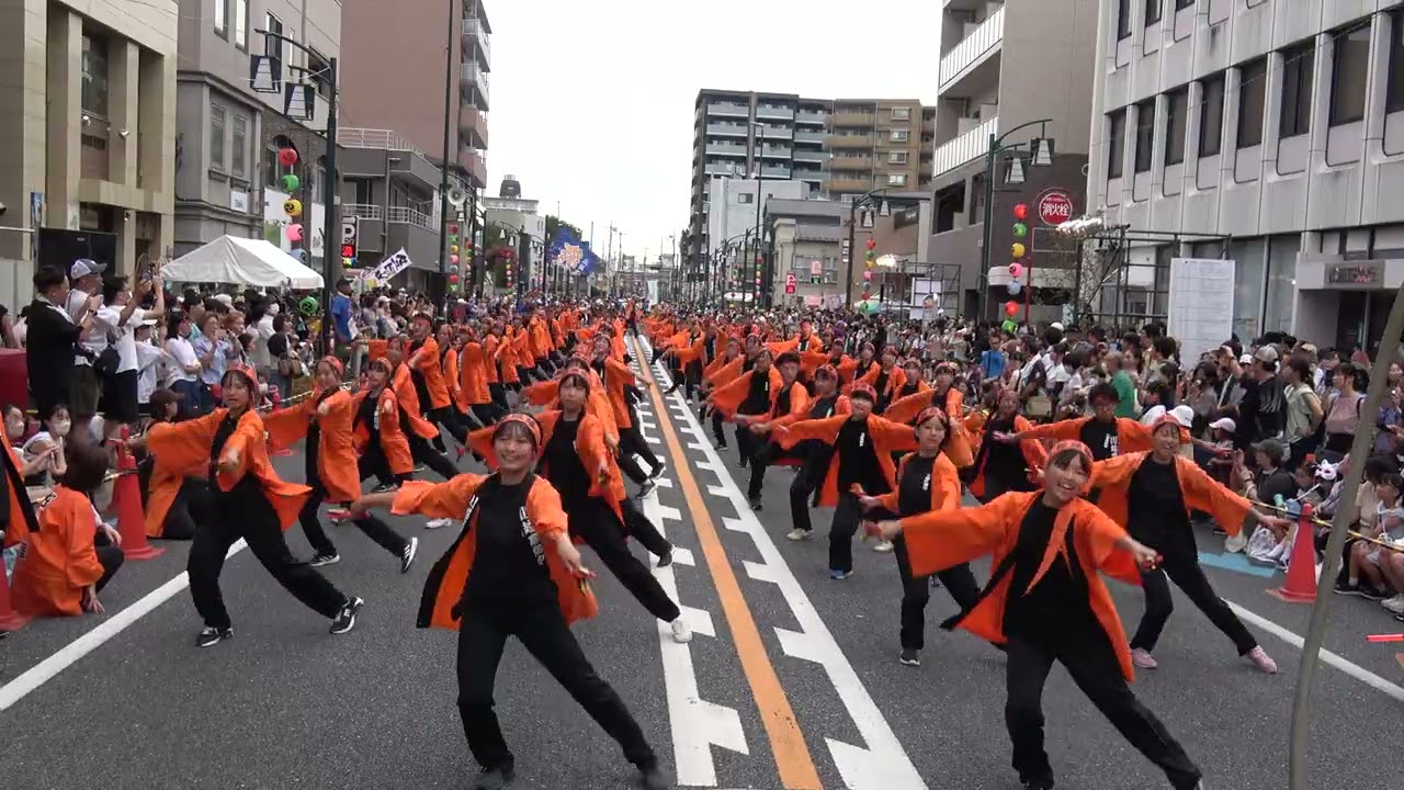 川越高階中学校桜踊華＠2024　川越百万灯夏まつり・OH！通りゃんせ　KAWAGOE