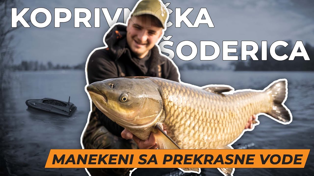 Šaranski ribolov na KOPRIVNIČKOJ ŠODERICI