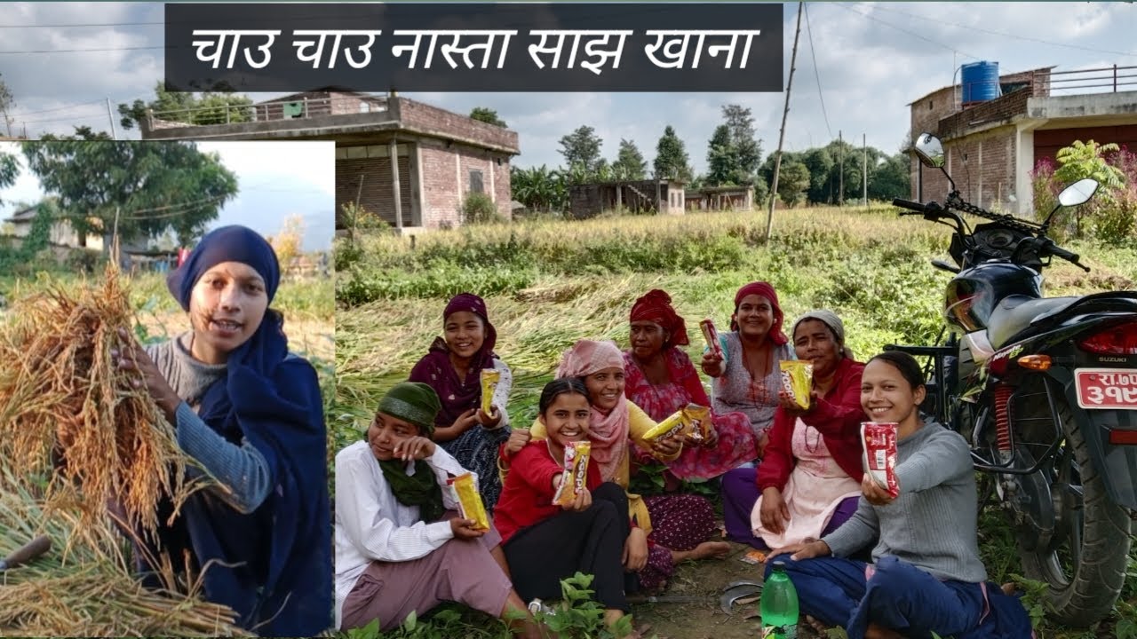 धान त मुसाले लगेछ।#kusumvlog#my vlog#village vlog#viralvideo