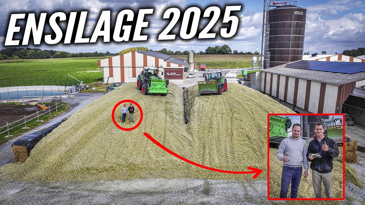 ENSILAGE DE MAÏS 2025