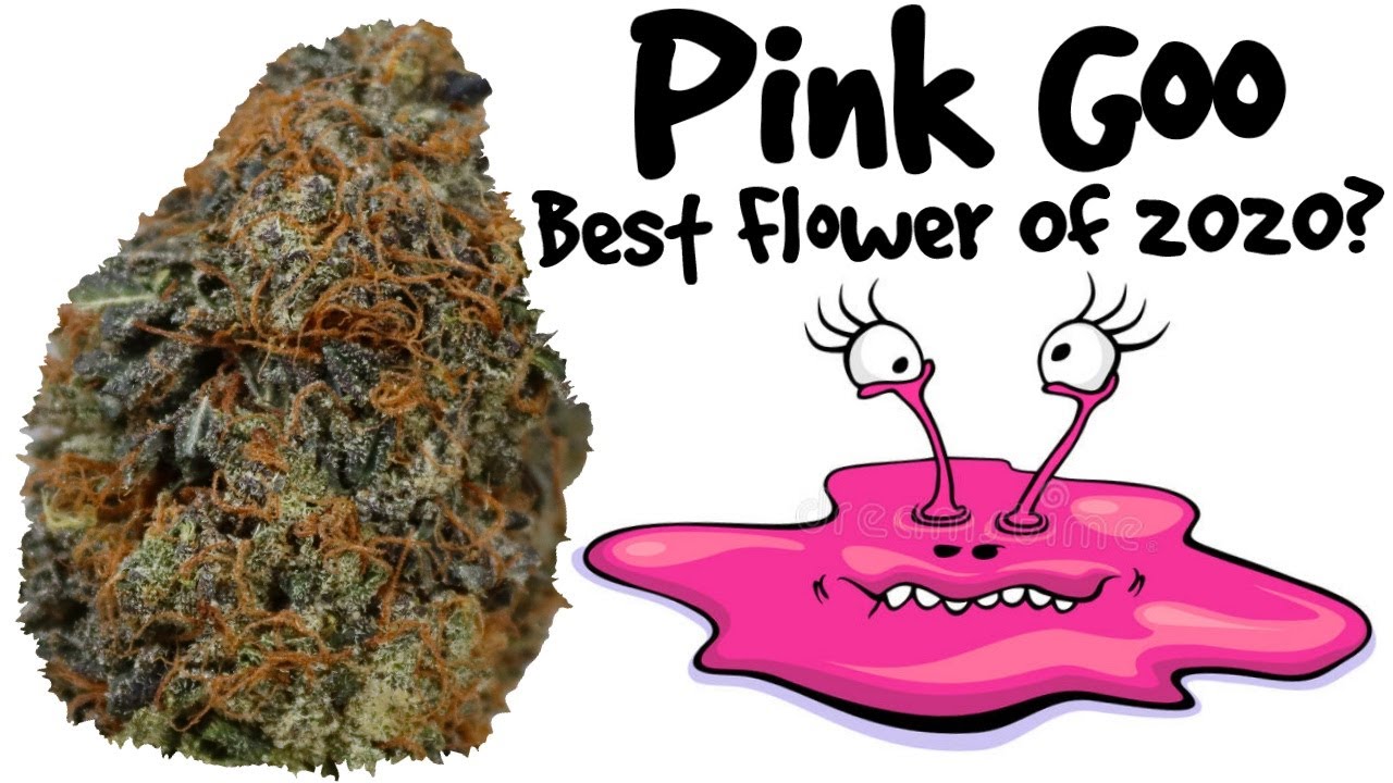Pink Goo OFFICIAL Strain Review