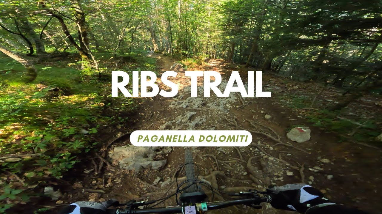 Ribs Trail Bikepark Paganella Dolomiti Italy 🇮🇹 full run POV RAW