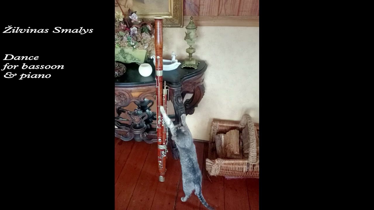 Smalys - Dance for bassoon piano