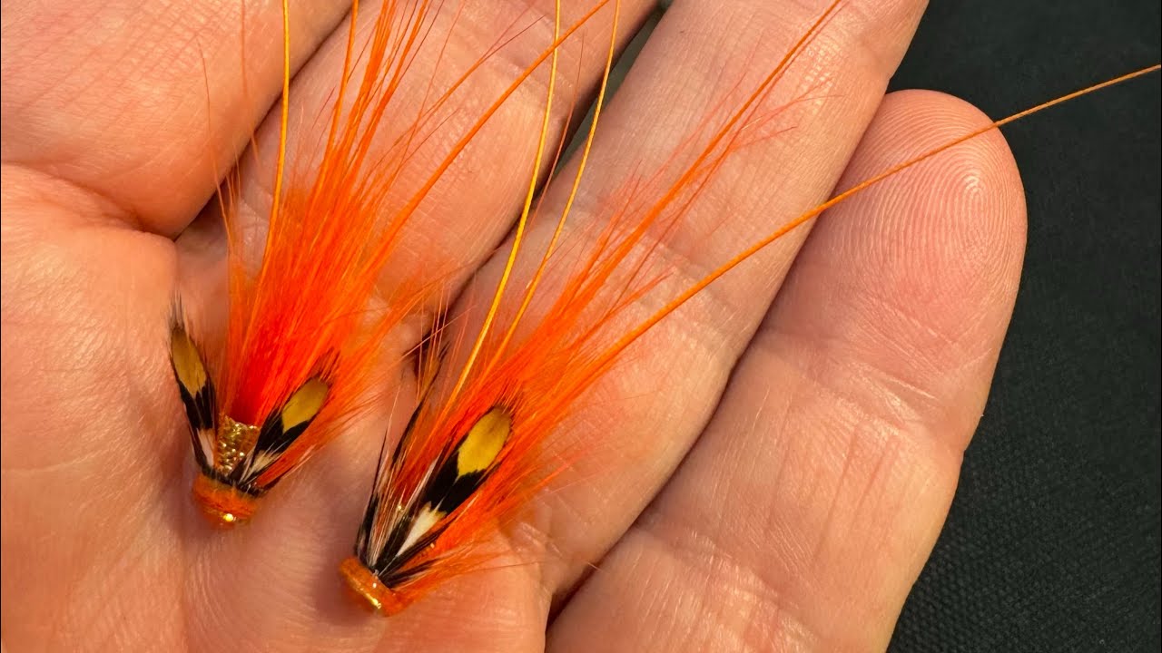 Orange Potbelly