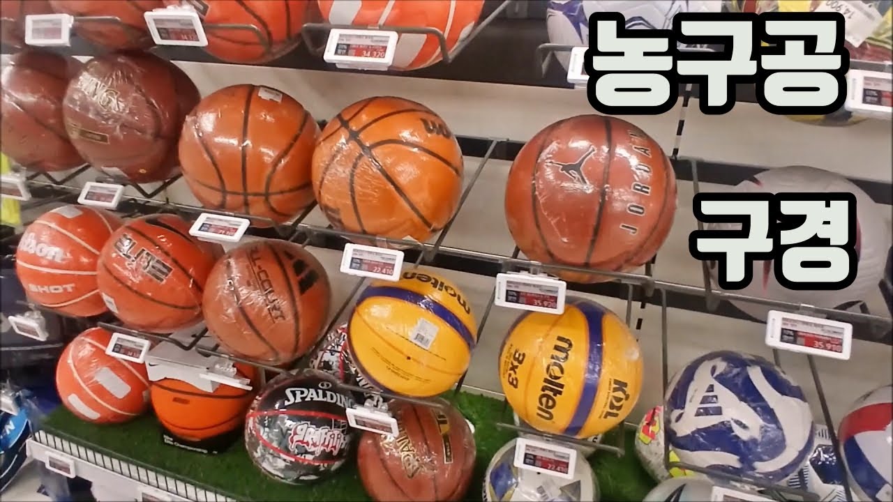 농구공 구경하고 왔습니다 농구공 찾아보자! 훕코리아