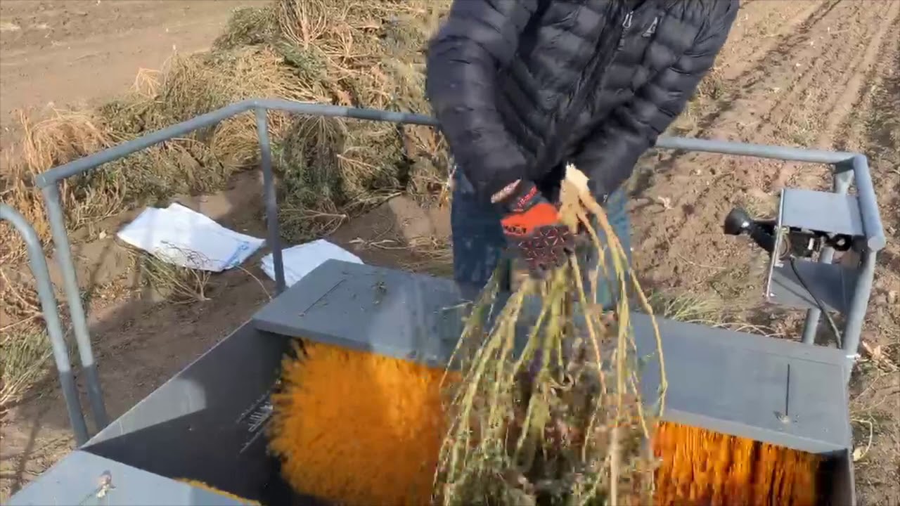 MAXPRO Hemp Bucking