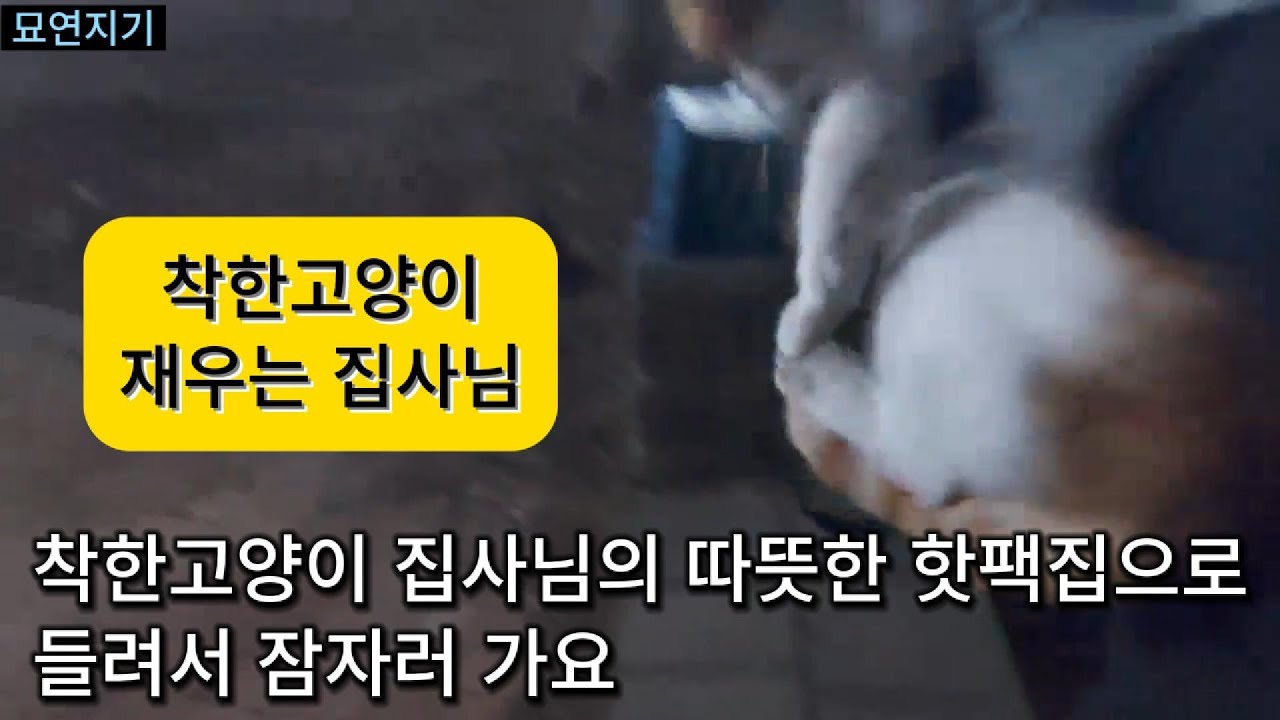 착한고양이 자러 가요
