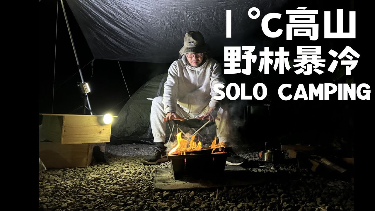 #Belingo#1 °C高山野林的車泊野營#海拔2000M的震撼#忘憂森林#黃金水杉林#1°C 高山や野生の森での駐車とキャンプ/2,000メートルを超える衝撃/望陽の森#黄金のメタセコイアの森