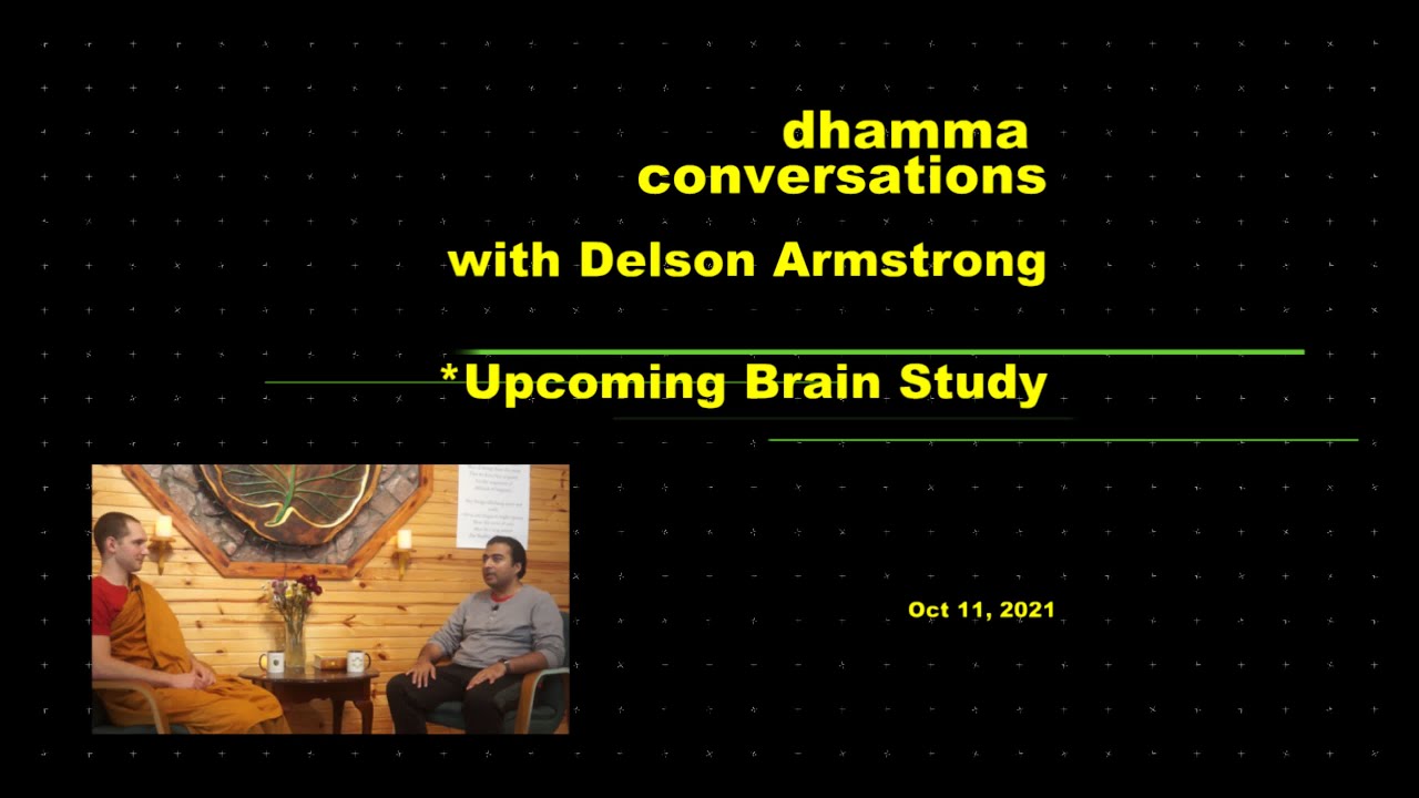 Interview#2: Upcoming Research with Delson -What will Jhana or Cessation look like?