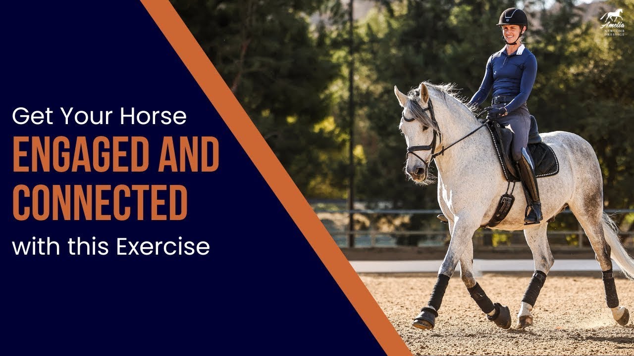 Trot-Walk-Trot: The Best Exercise for Balance & Connection