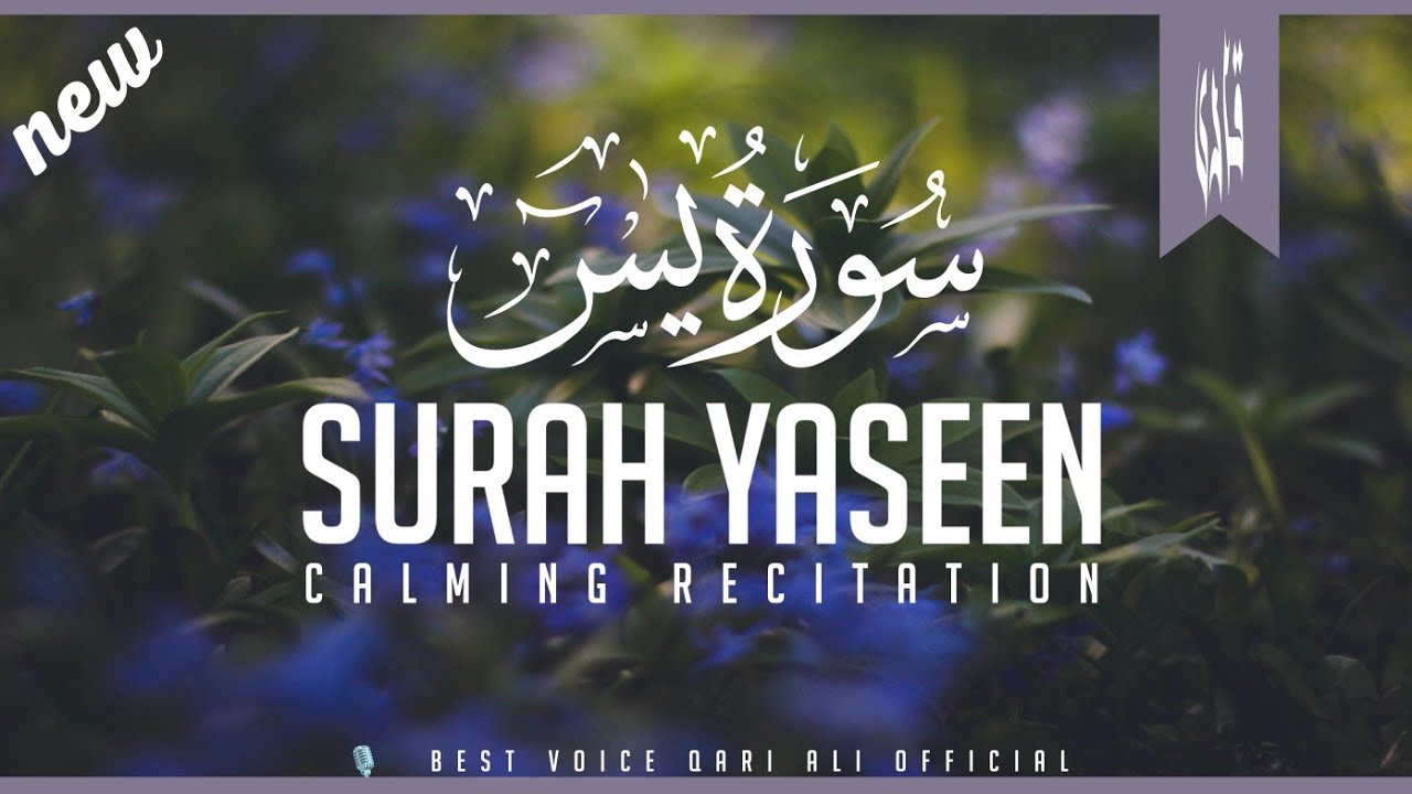 Surah Yaseen (Yasin) سورۃ یس | Heat touching Quran recitation of Surah Yasin | Qari Ali official 