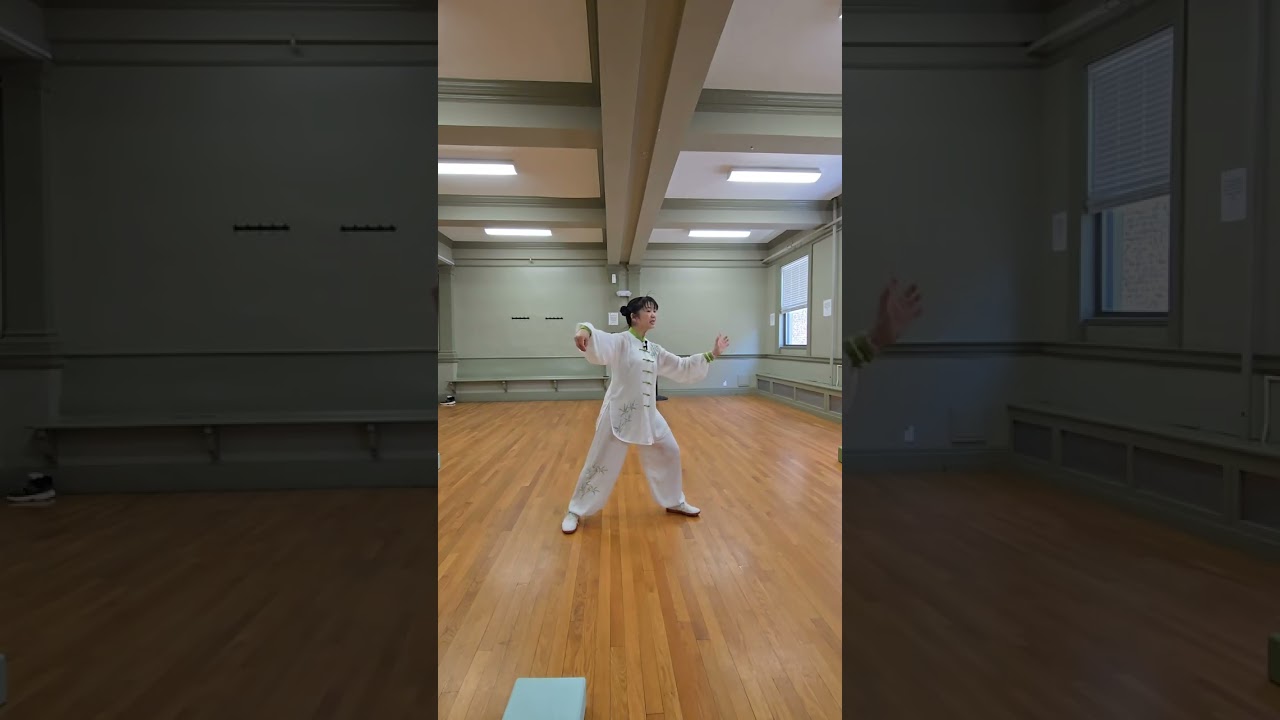 (6) 85-form Yang Style Taichi