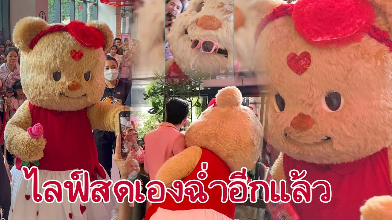 น้องเนยสุดสวย ไลฟ์ฉ่ำด้วยมือถือมัมแอร์ น่ารักสุดๆ แอดทิ้งท่านผู้ชมอีกตามเคย🤗🤭🥰#น้องเนย #น้องหมีเนย