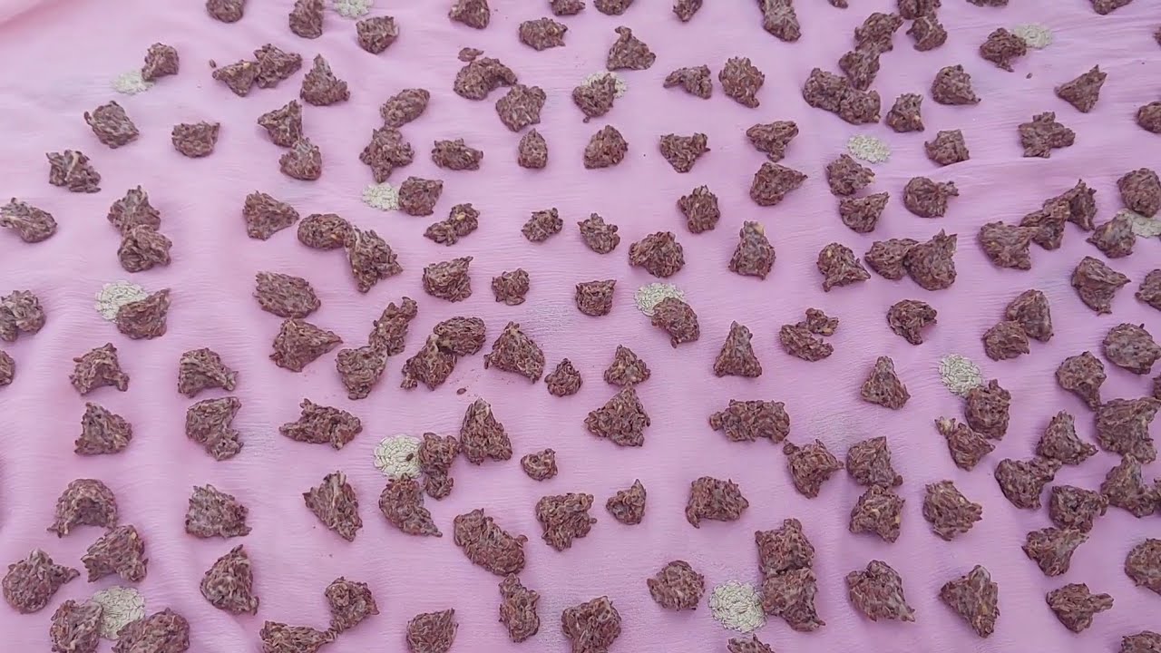 बिहार का प्रसिद्ध तीसयौरी का रेसिपी || How to make tisuari || Flaxseed ka vadi