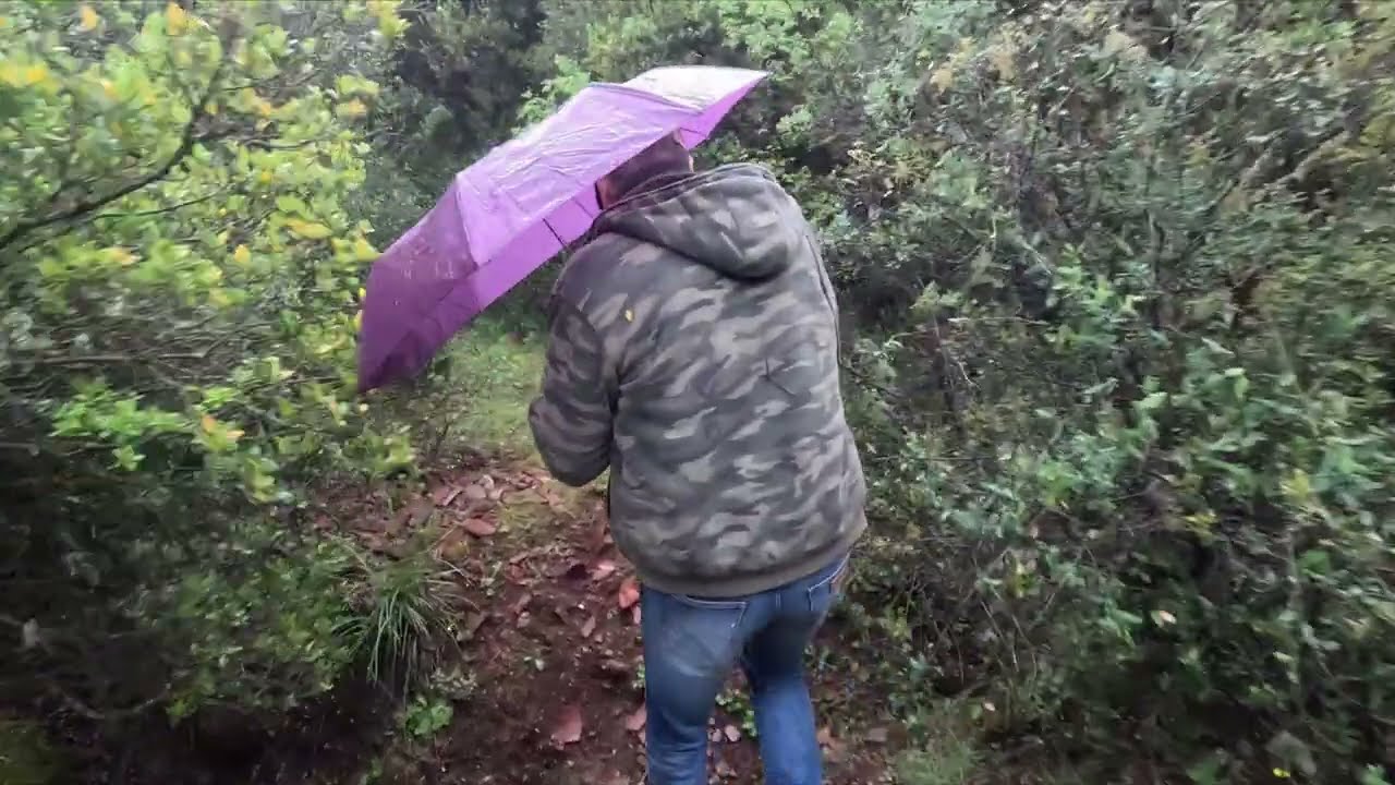 Ανοιξιάτικο κολύμπι - Κυνήγι λαγού /Hare hunting /Εκπαίδευση /Training