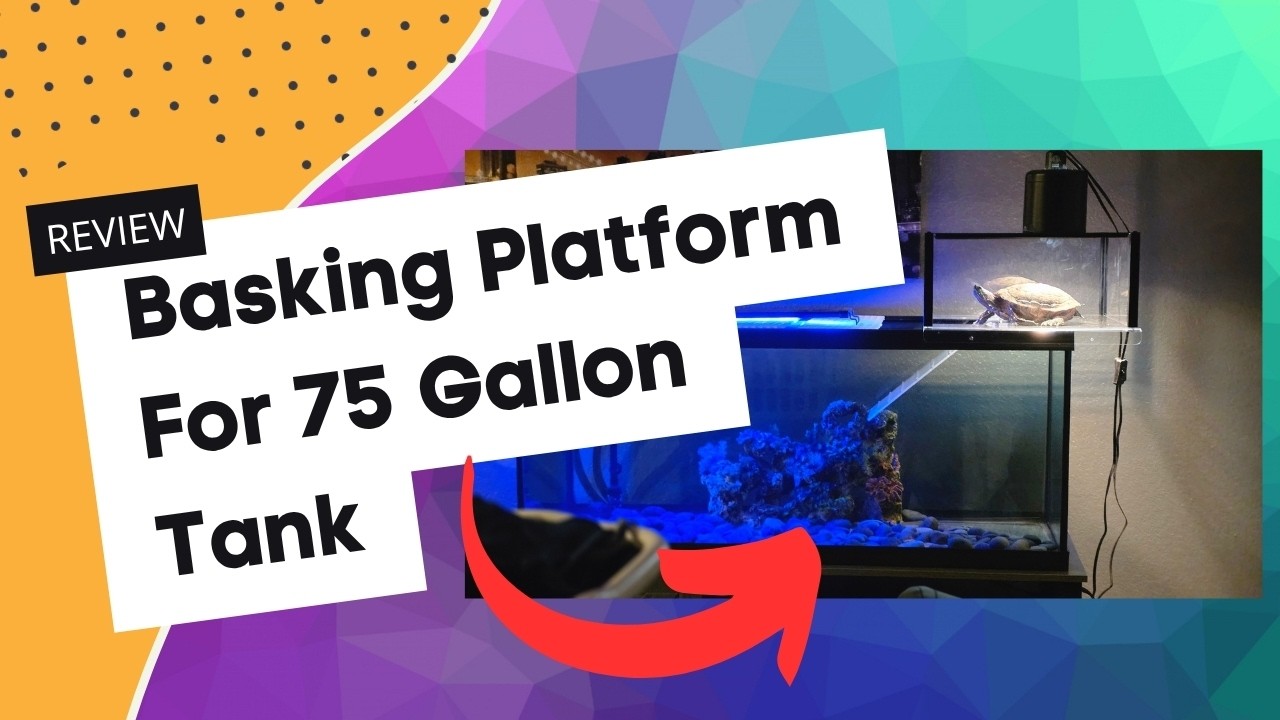 Leyouland Turtle Basking Area For 75 Gallon Tank Unboxing & Installation
