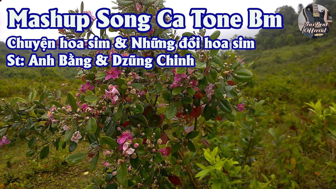Karaoke Song Ca Mashup Chuyện Hoa Sim Những Đồi Hoa Sim | Song Ca & Tình Khúc