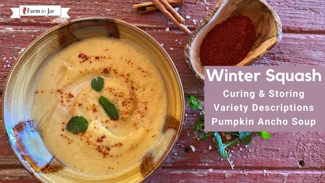Winter Squash: How to cure & store; heirloom variety descriptions; pumpkin ancho soup