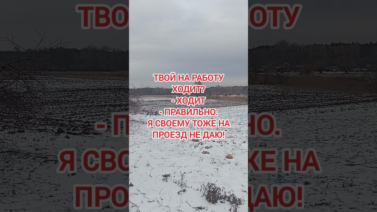 Ходун #анекдот #приколы #мемы