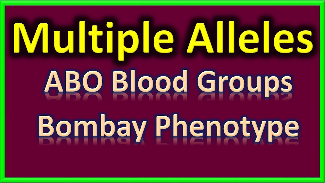 Multiple Alleles of ABO Blood Groups and Bombay Phenotype