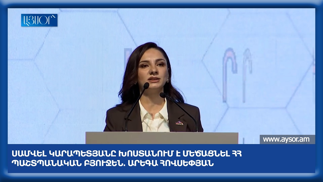 Սամվել Կարապետյանը խոստանում է մեծացնել ՀՀ պաշտպանական բյուջեն. Արեգա Հովսեփյան