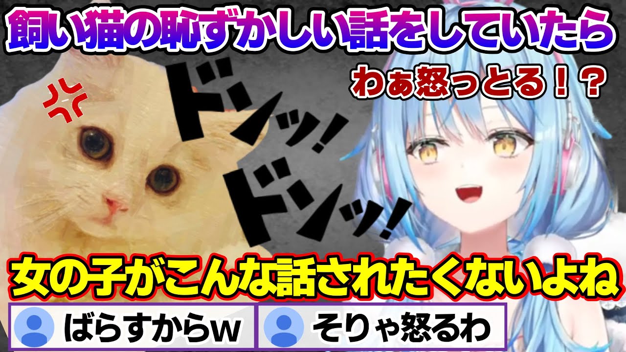 アイドル気質の飼い猫みるくちゃんが可愛すぎて恥ずかしい話までしてしまい、怒られるラミィちゃんｗ【雪花ラミィ/ホロライブ/切り抜き/らみらいぶ/雪民】