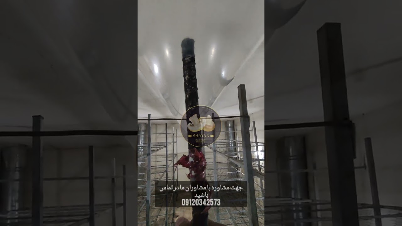 سالن پرورش قارچ اموزش داکت هوا و سوراخ کردن داکتهوا ۰۹۱۲۰۳۴۲۵۷۳ قارچ شایان