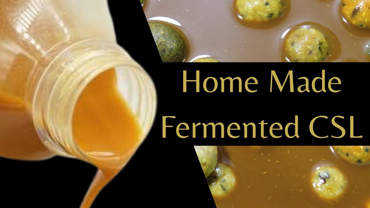 Home Made Fermented CSL. Monster Carp Home made Bait making. #carpfishing #carpbait