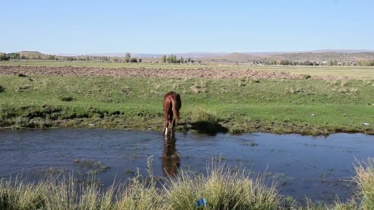 Bitlis - Güroymak - Doğada ki Özgürlük