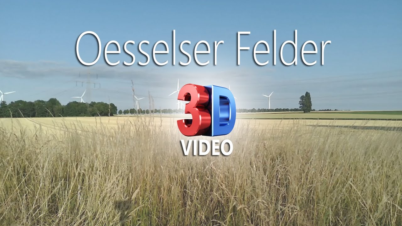 Oesselser Felder (3D)