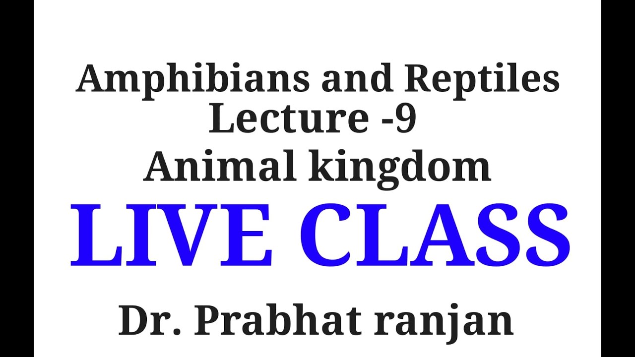 Amphibians & Reptiles | ANIMAL KINGDOM | LECTURE-9  LIVE class | NEET | Board