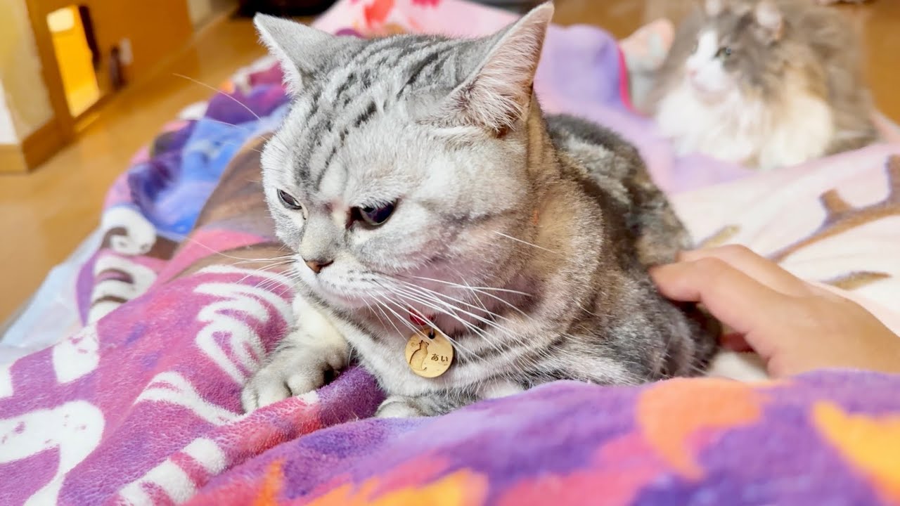 あいちゃんのまわりのテンションが高かった夜。