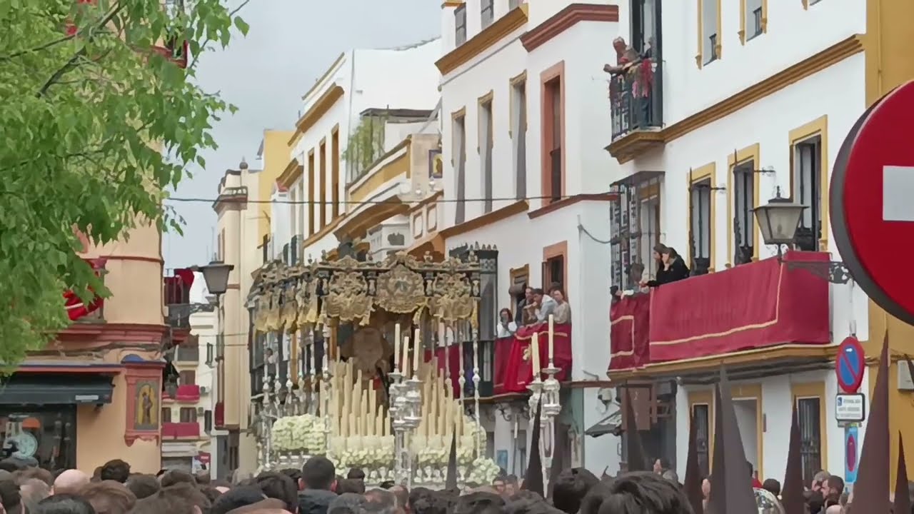 Virgen de la Palma Plaza de San Lorenzo-Cardenal Spínola, Hermandad Buen Fin 2024