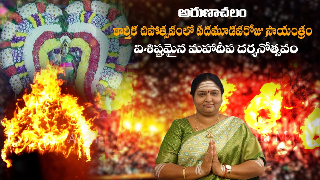 #ArunachalaKarthikadeepamDay13 || #KarthikaDeepam || Arunachalam