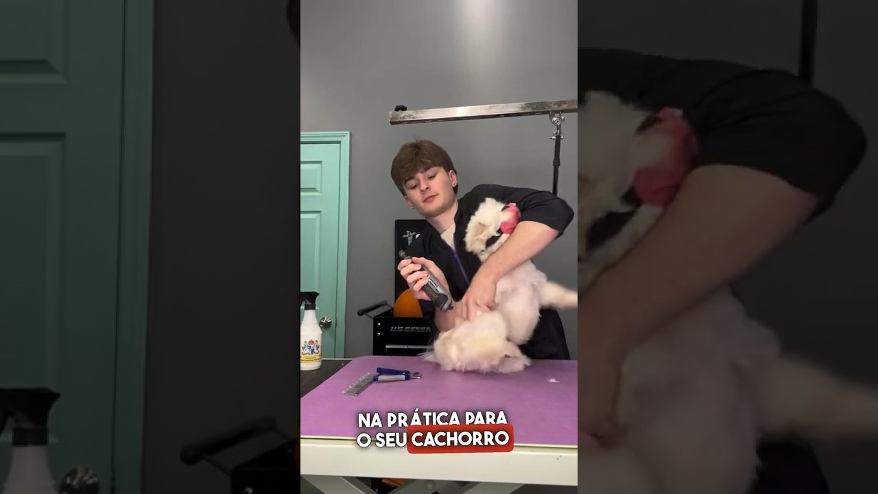 Como acostumar o seu cachorro no petshop #shorts