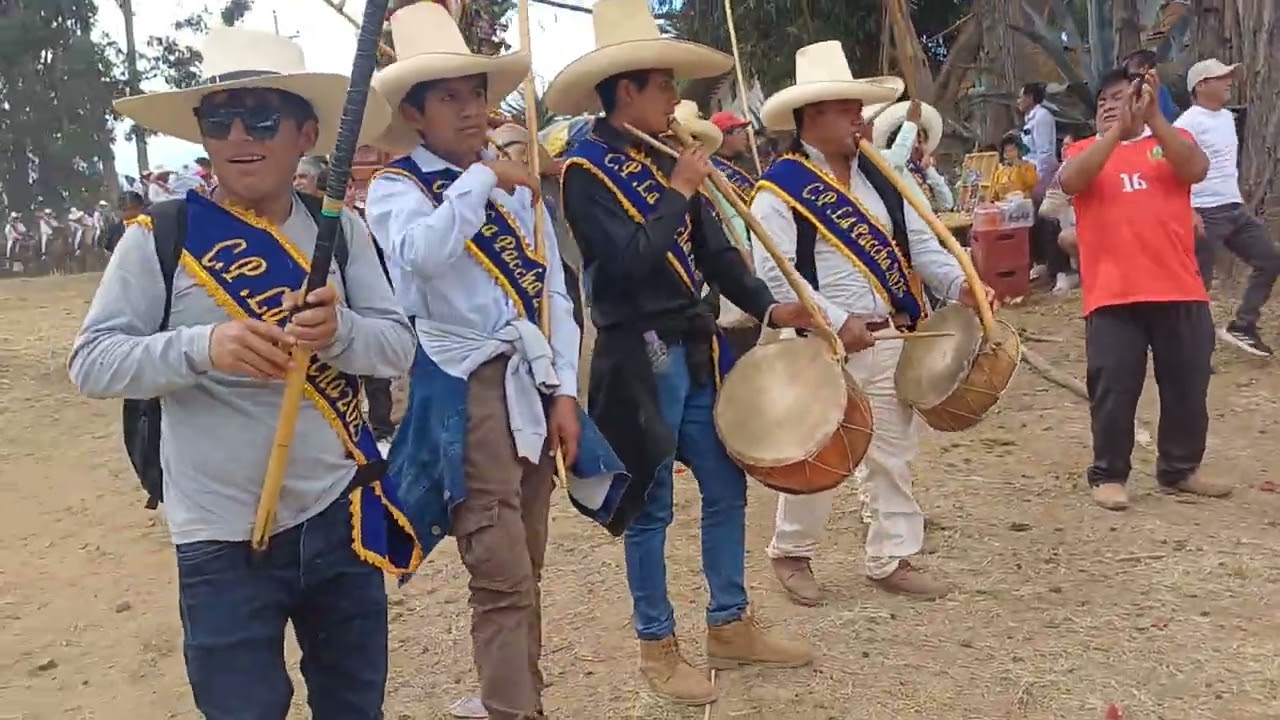 Procesion en Honor a la Virgen Santa Rosa de lima.