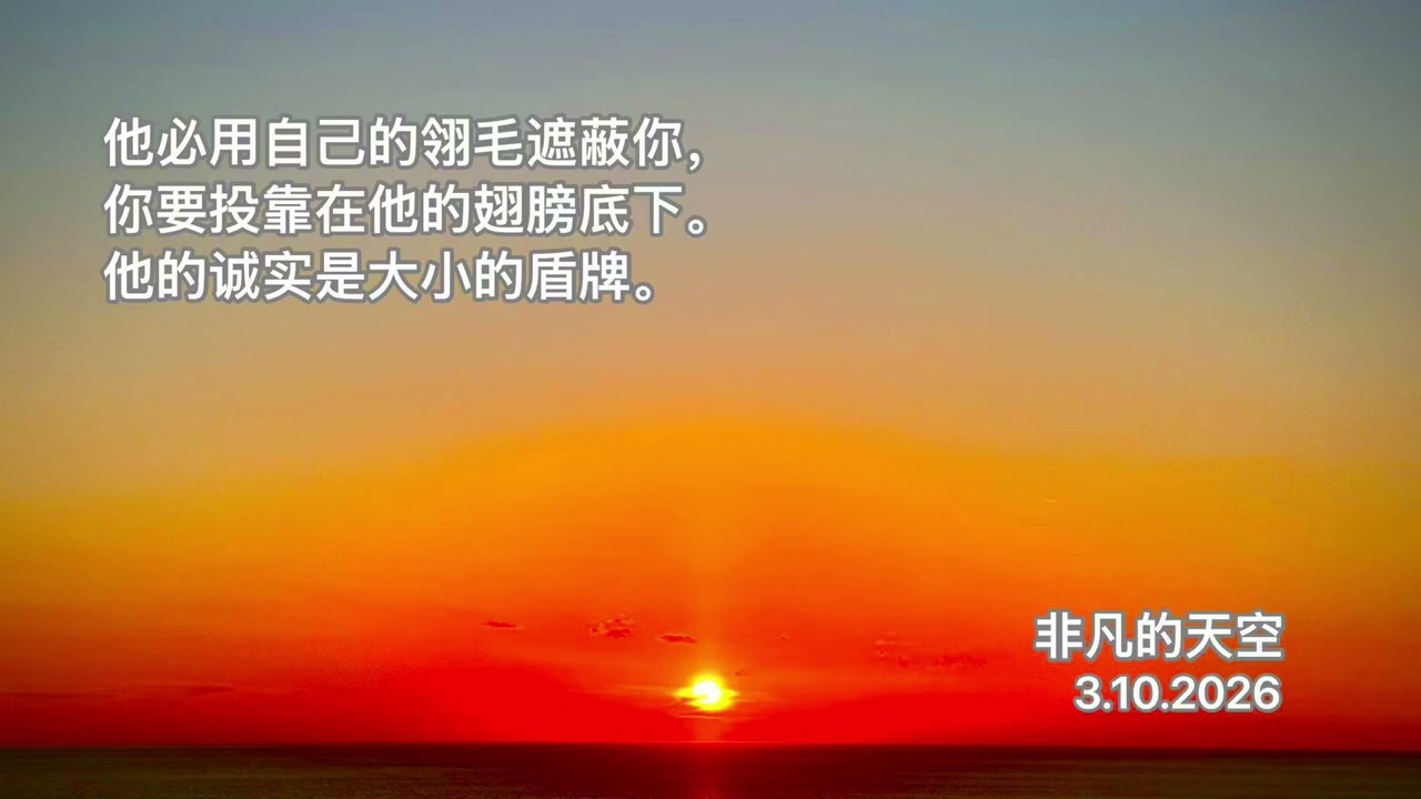 2026年3月11日