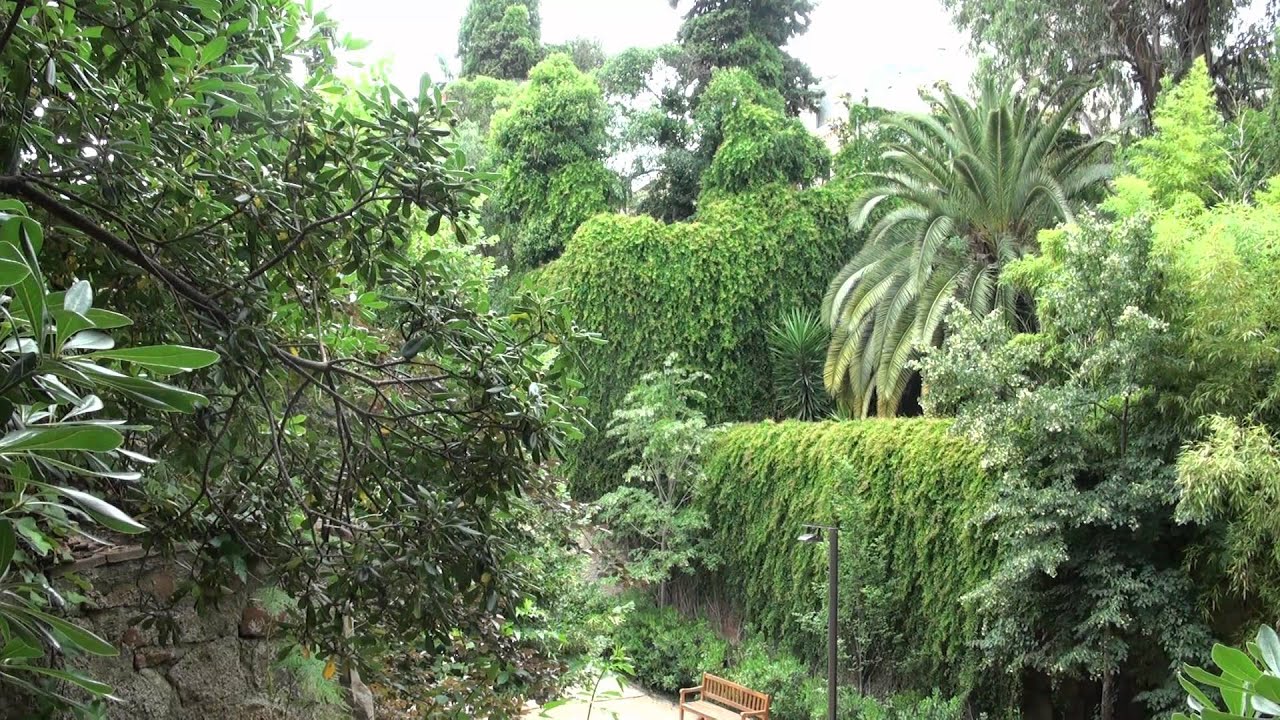 Jardins de la Tamarita  (Barcelona)