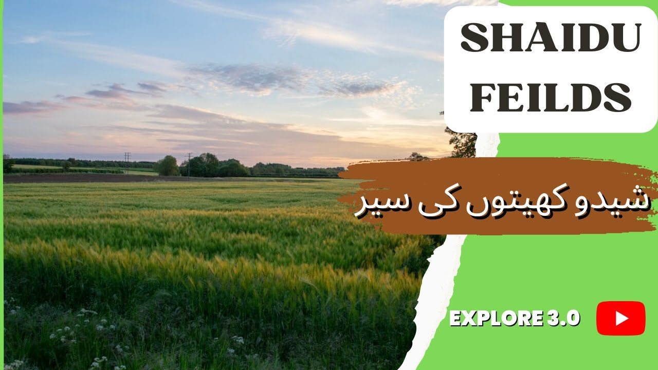SHAIDU FEILDS | VISIT TO SHAIDU FEILDS | SHAIDU | شیدو کھیتوں کی سیر | EXPLORE 3.0