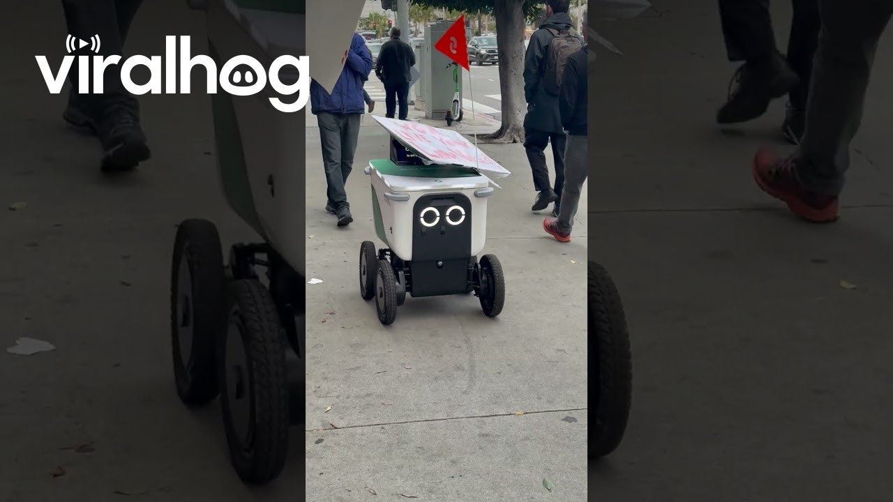 Delivery Robot Joins Human Protest || ViralHog